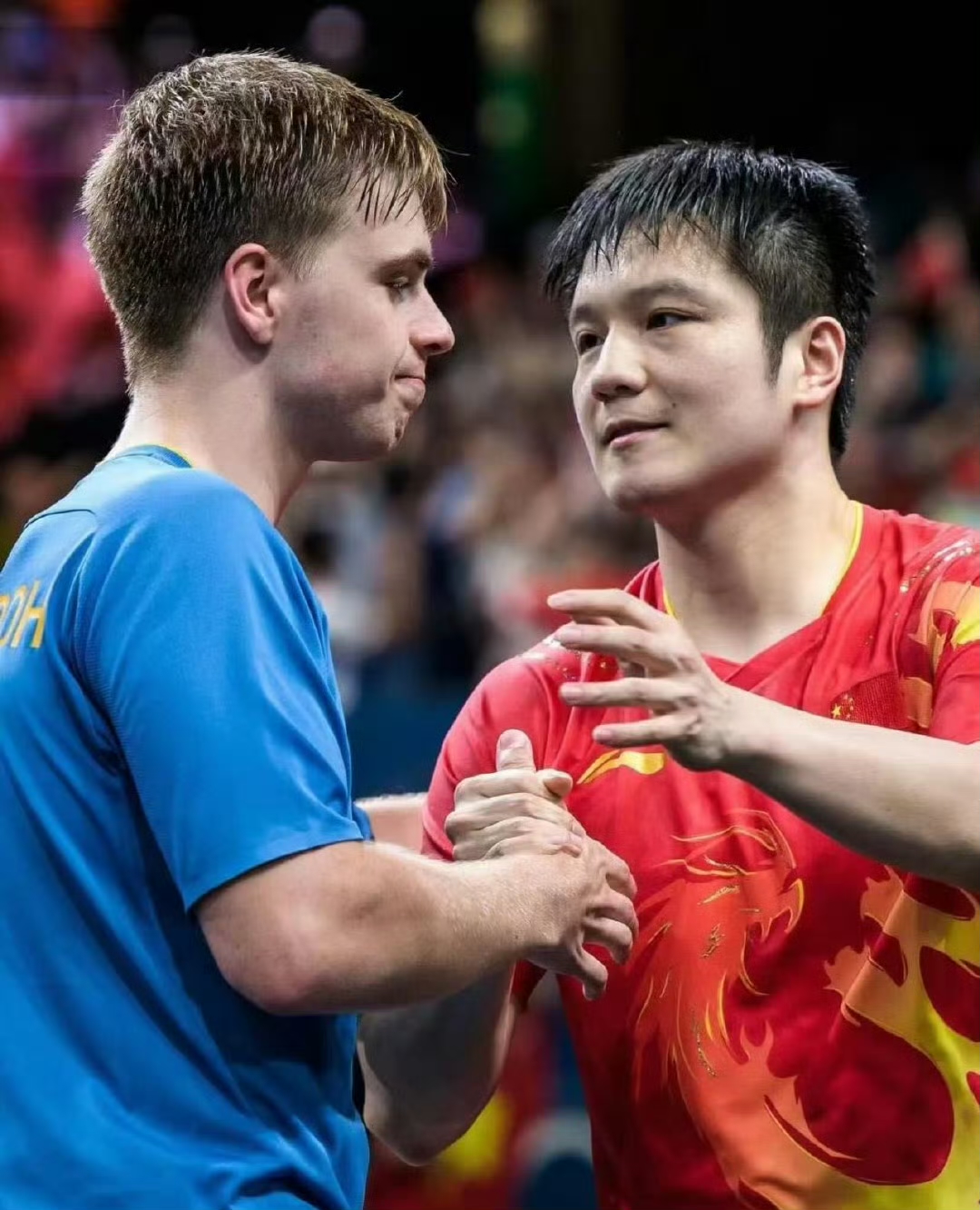 法国队力克葡萄牙队，樊振东惊艳四座