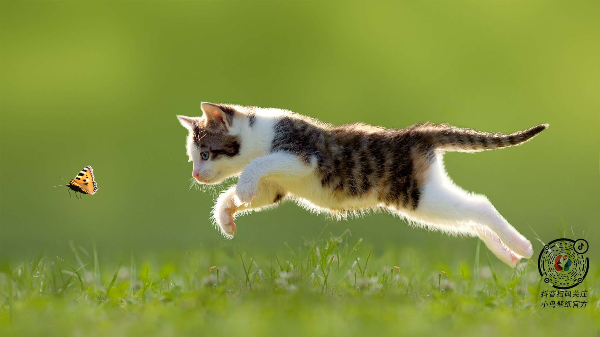 开云体育下载-蛰伏与重生，黄蜂逆袭76人，英格拉姆一剑封乾坤